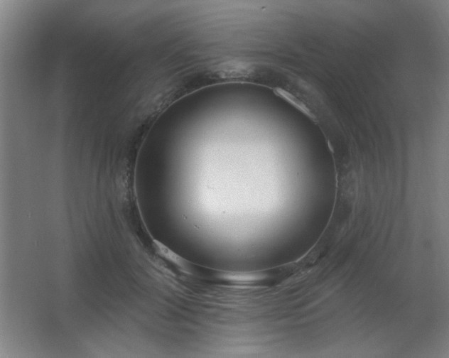 X0000062690604200512281834