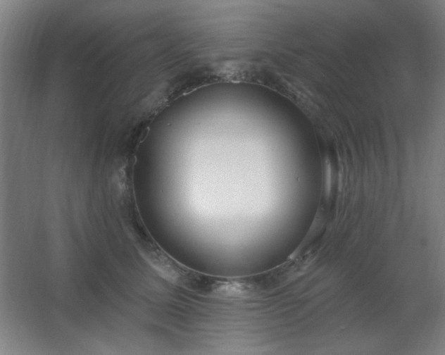 X0000062690611200512281833
