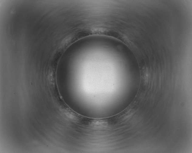 X0000062690619200512281833
