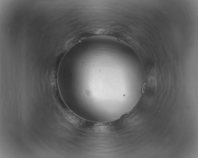X0000062690620200512281833