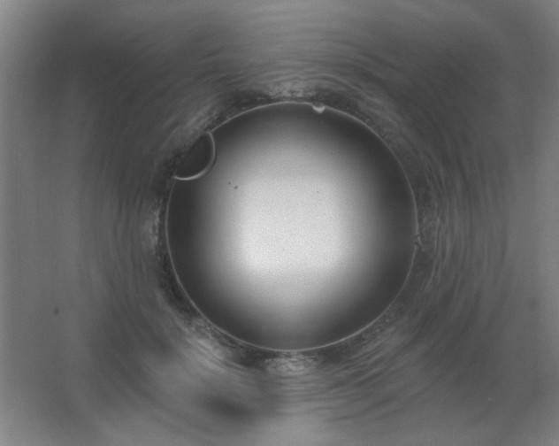X0000062690652200512281833