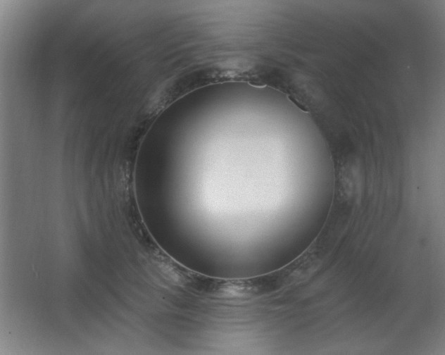 X0000062690657200512281833