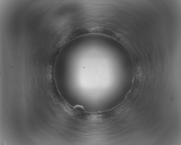 X0000062690664200512281833