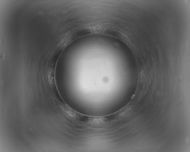 X0000062690671200512281833