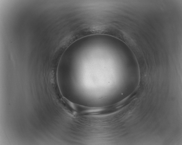 X0000062690689200512281832