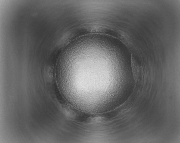 X0000062690695200512281832
