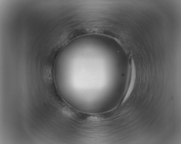 X0000062690699200512281832