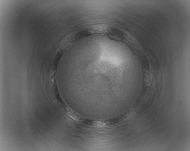 X0000062690701200512281832