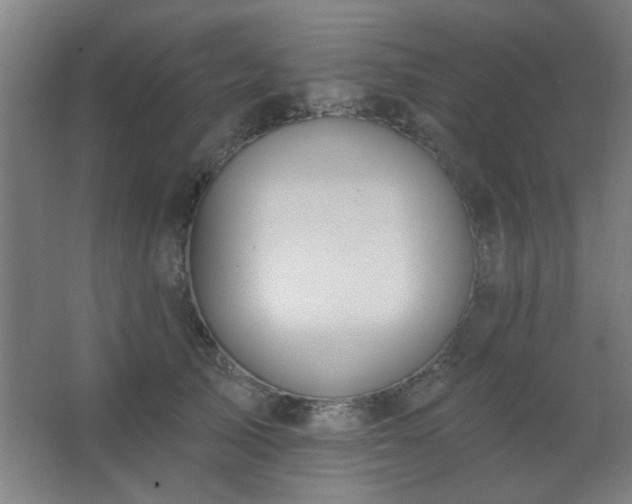 X0000062690705200512281832