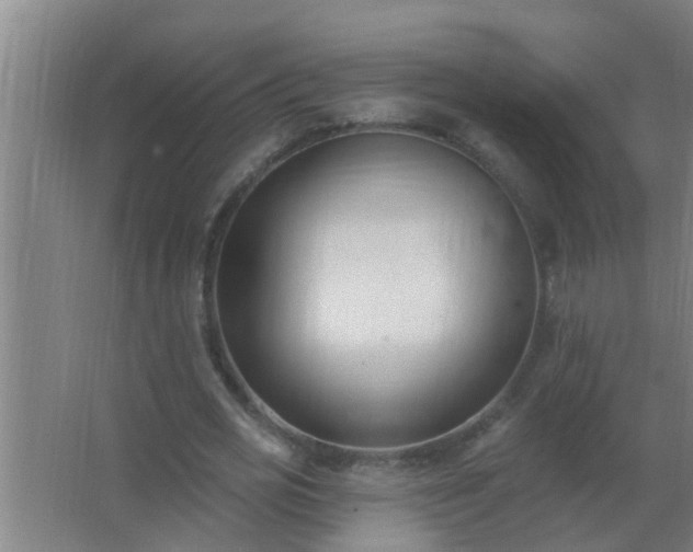 X0000062690725200512281831