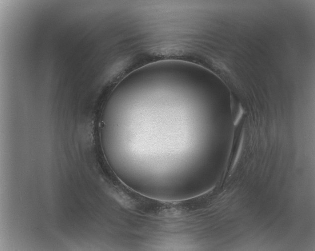X0000062690735200512281831