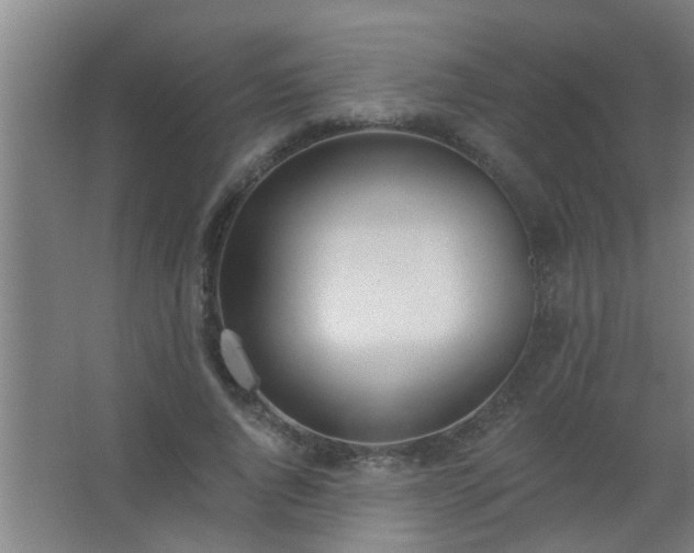 X0000062690736200512281831
