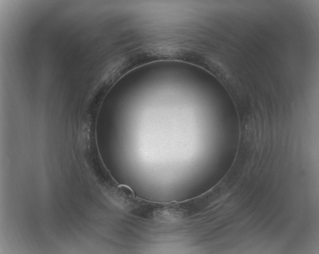 X0000062690739200512281831