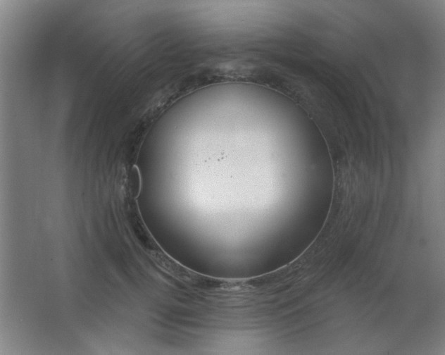 X0000062690752200512281831