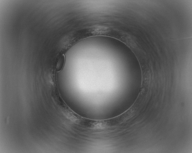 X0000062690755200512281831