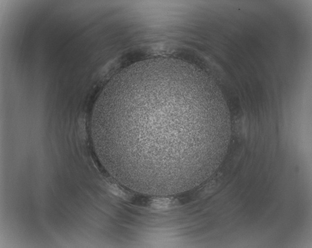 X0000062690757200512281831