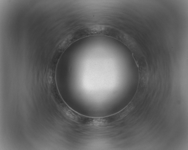 X0000062690758200512281831