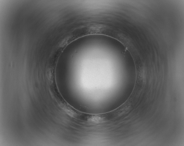 X0000062690759200512281831
