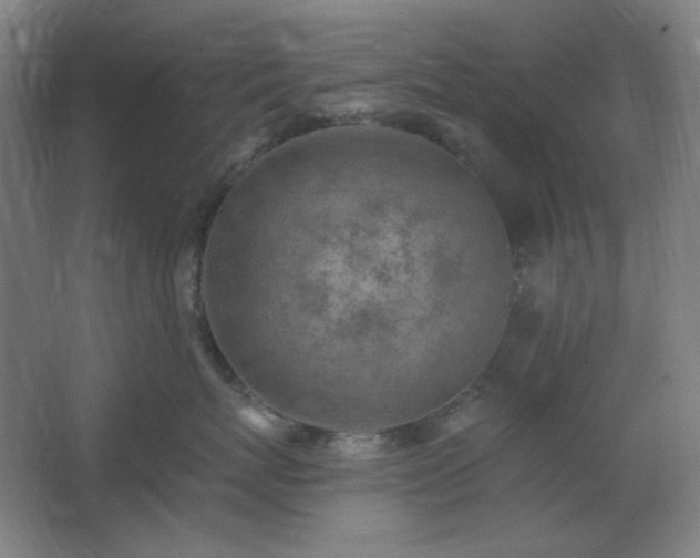 X0000062690767200512281832