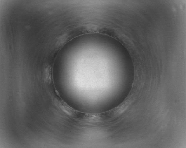 X0000062690768200512281832