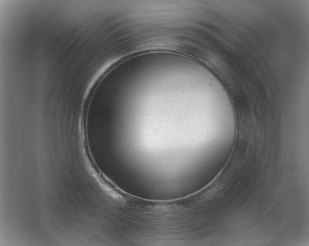X0000062690796200512281830