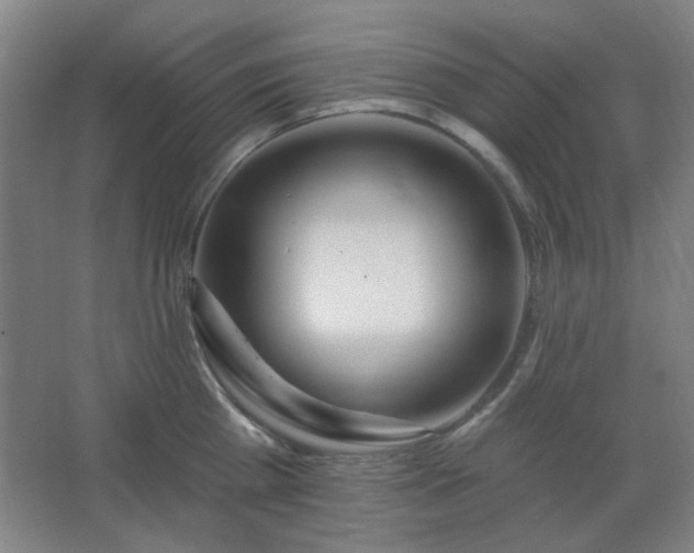 X0000062690809200512281830
