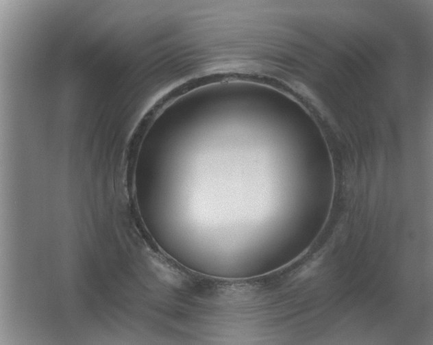 X0000062690830200512281829