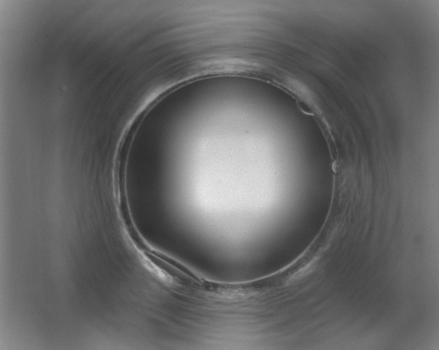 X0000062690843200512281830
