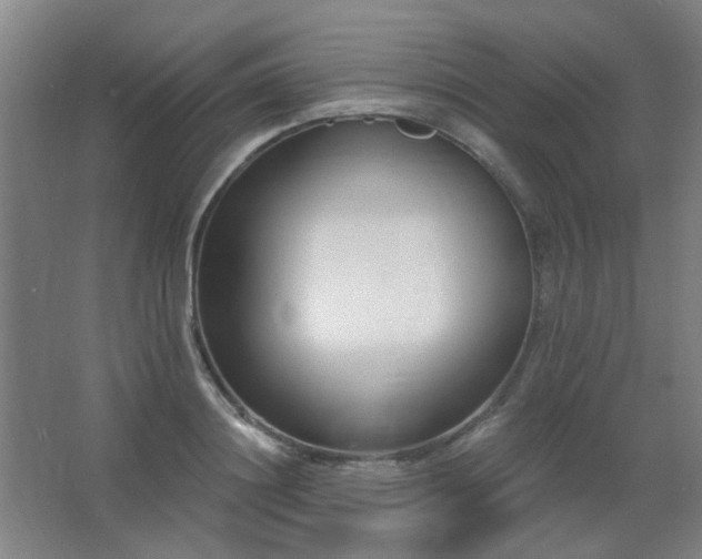 X0000062690844200512281830