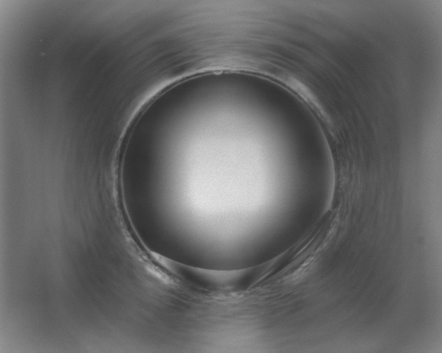 X0000062690854200512281830