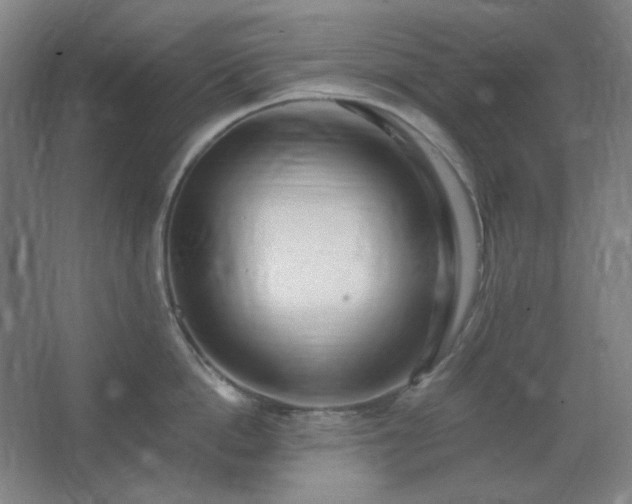 X0000062690862200512281830