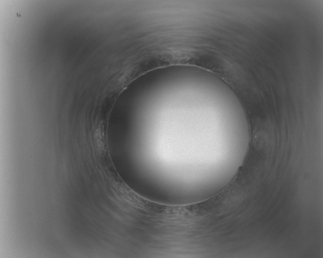 X0000062690866200512281829