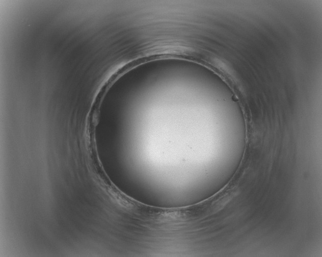 X0000062690883200512281829