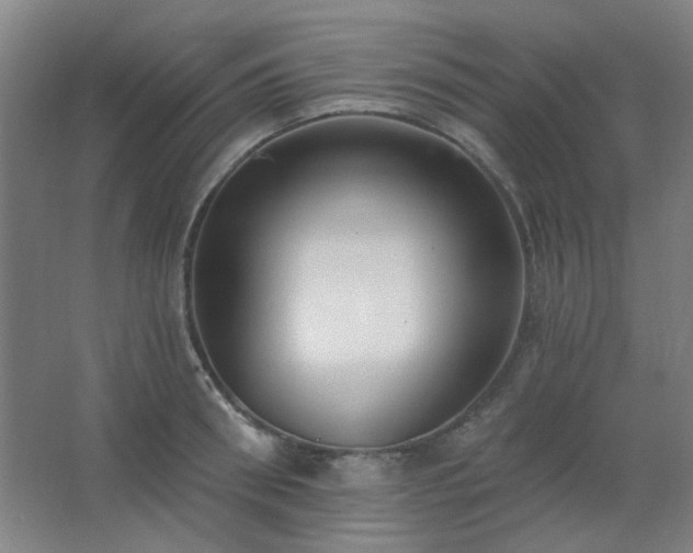 X0000062690898200512281829