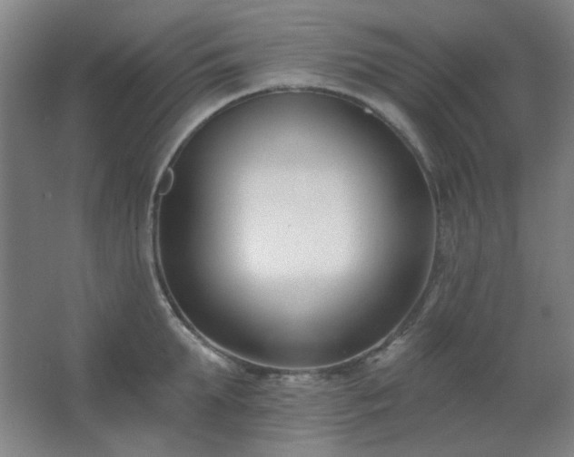X0000062690903200512281829