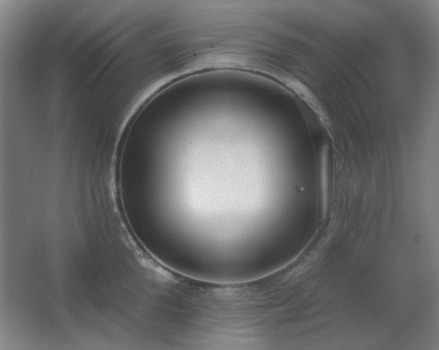 X0000062690904200512281829