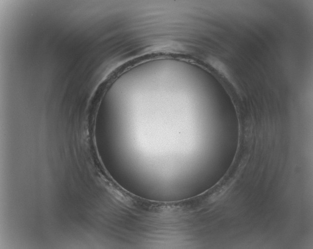 X0000062690923200512281828