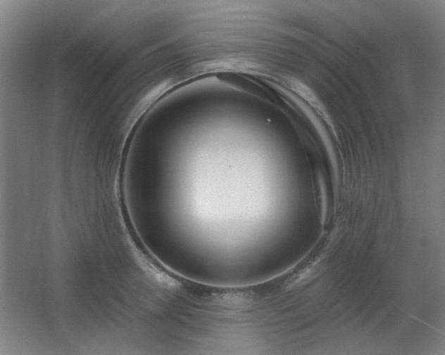 X0000062690946200512281828