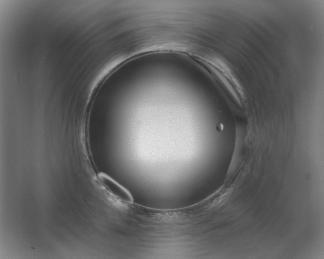 X0000062690952200512281828