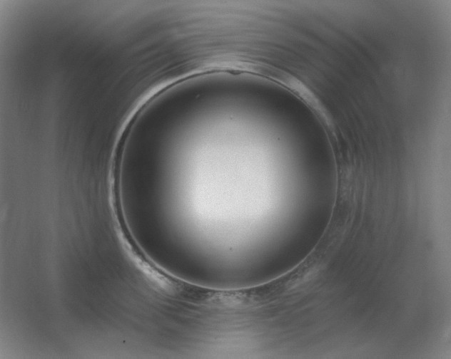 X0000062690955200512281828