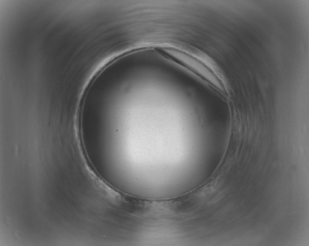 X0000062690958200512281828