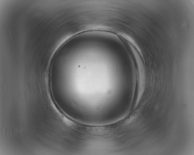X0000062691007200512281827
