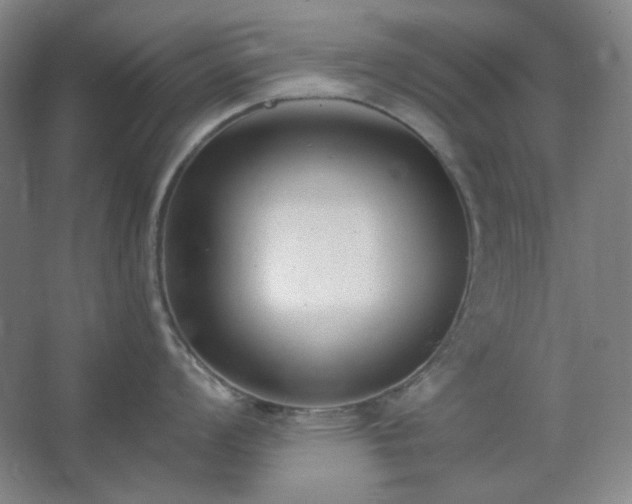 X0000062691008200512281827