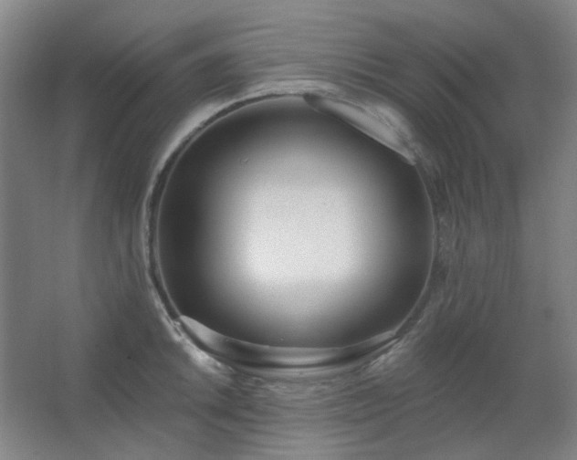 X0000062691046200512281827