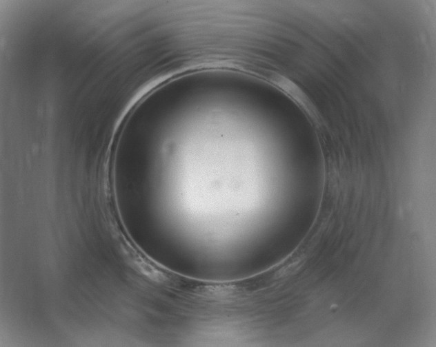 X0000062691052200512281827