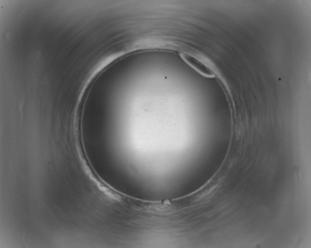 X0000062691053200512281827