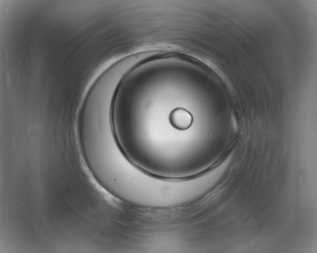X0000062691054200512281827