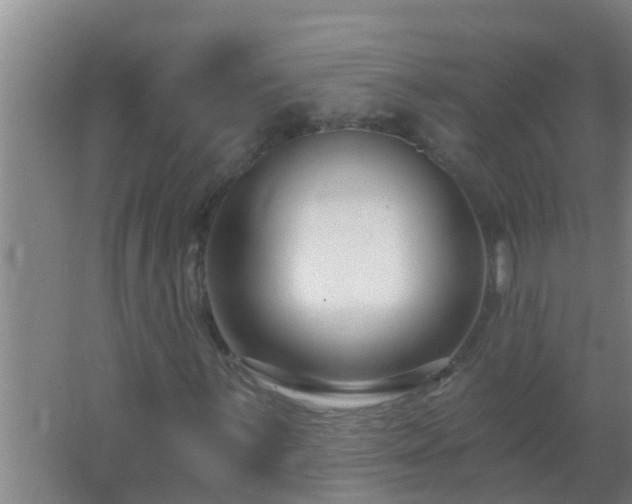 X0000062691059200512281826