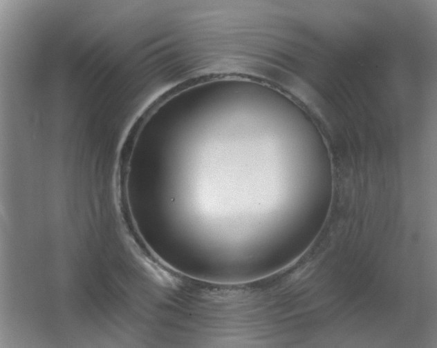 X0000062691076200512281826