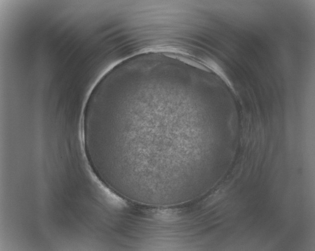 X0000062691084200512281826